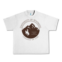 Lunar Rock university of wyoming cowboys Urban Heavy Tee - linhVisuals