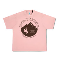 University Of Wyoming Cowboys Urban Heavy Tee | Teevron