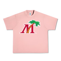 Salmon fort myers miracle Urban Heavy Tee - linhVisuals