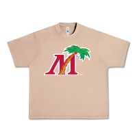 Burro fort myers miracle Urban Heavy Tee - linhVisuals