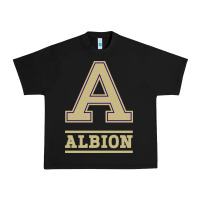 Black albion college athleticpurple Urban Heavy Tee - linhVisuals