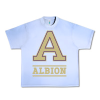 Grape Ice albion college athleticpurple Urban Heavy Tee - linhVisuals