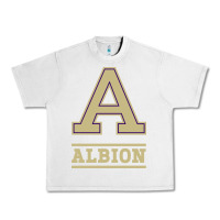 Lunar Rock albion college athleticpurple Urban Heavy Tee - linhVisuals