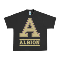 Pigment Black albion college athleticpurple Urban Heavy Tee - linhVisuals