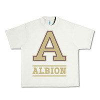 Pistachio albion college athleticpurple Urban Heavy Tee - linhVisuals