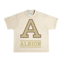 Sandshell albion college athleticpurple Urban Heavy Tee - linhVisuals