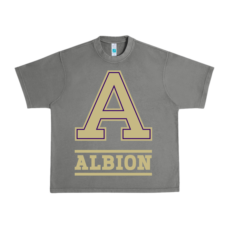 Albion College Athleticpurple Urban Heavy Tee by linhVisuals | Teevron