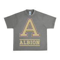 Tornado albion college athleticpurple Urban Heavy Tee - linhVisuals
