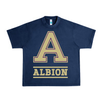Navy albion college athleticpurple Urban Heavy Tee - linhVisuals