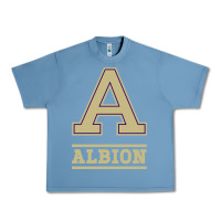 Pebble Blue albion college athleticpurple Urban Heavy Tee - linhVisuals