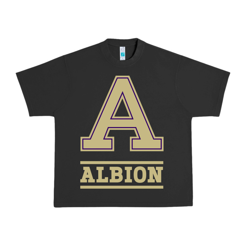 Albion College Athleticpurple Urban Heavy Tee by linhVisuals | Teevron