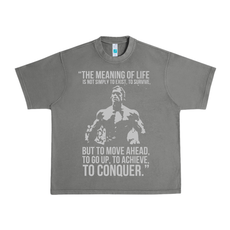 Schwarzenegger Arnie Urban Heavy Tee by linhVisuals | Teevron