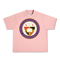 Salmon college of the holy cross Urban Heavy Tee - linhVisuals