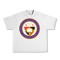 Lunar Rock college of the holy cross Urban Heavy Tee - linhVisuals