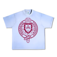 Grape Ice f0rdham university Urban Heavy Tee - linhVisuals