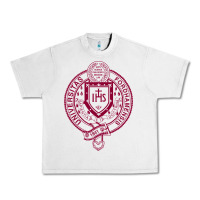 Lunar Rock f0rdham university Urban Heavy Tee - linhVisuals