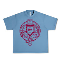 Pebble Blue f0rdham university Urban Heavy Tee - linhVisuals