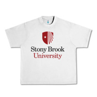Lunar Rock stony brook university Urban Heavy Tee - linhVisuals