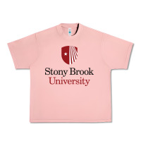 Salmon stony brook university Urban Heavy Tee - linhVisuals