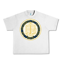 Lunar Rock university of california, davis Urban Heavy Tee - linhVisuals