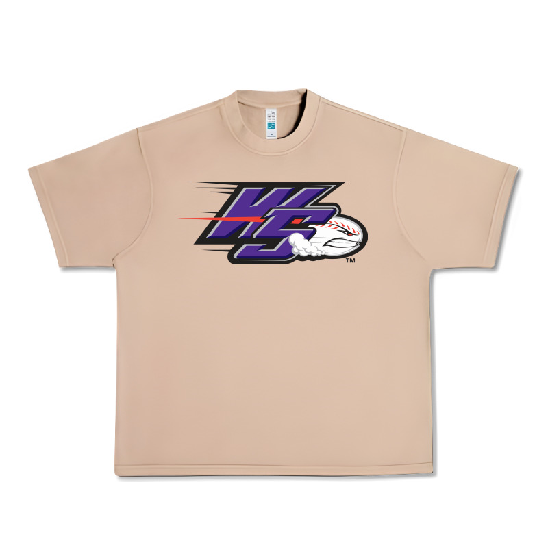 Winston Salem Dash Urban Heavy Tee by linhVisuals | Teevron