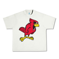 Pistachio illinois state redbirds Urban Heavy Tee - linhVisuals