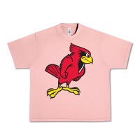 Salmon illinois state redbirds Urban Heavy Tee - linhVisuals