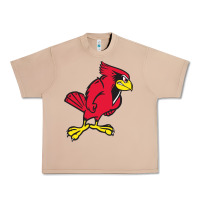 Burro illinois state redbirds Urban Heavy Tee - linhVisuals