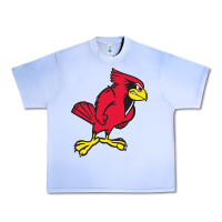 Grape Ice illinois state redbirds Urban Heavy Tee - linhVisuals