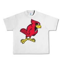 Lunar Rock illinois state redbirds Urban Heavy Tee - linhVisuals