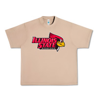 Burro illinois state redbirds Urban Heavy Tee - linhVisuals