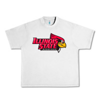 Lunar Rock illinois state redbirds Urban Heavy Tee - linhVisuals