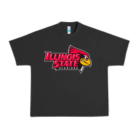 Pigment Black illinois state redbirds Urban Heavy Tee - linhVisuals