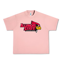 Salmon illinois state redbirds Urban Heavy Tee - linhVisuals