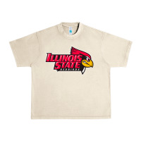 Sandshell illinois state redbirds Urban Heavy Tee - linhVisuals