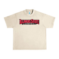 Sandshell illinois state redbirds Urban Heavy Tee - linhVisuals