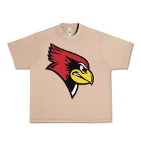 Burro illinois state redbirds Urban Heavy Tee - linhVisuals