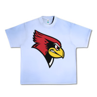 Grape Ice illinois state redbirds Urban Heavy Tee - linhVisuals