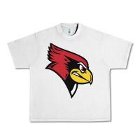 Lunar Rock illinois state redbirds Urban Heavy Tee - linhVisuals