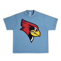 Pebble Blue illinois state redbirds Urban Heavy Tee - linhVisuals