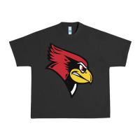 Pigment Black illinois state redbirds Urban Heavy Tee - linhVisuals