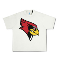 Pistachio illinois state redbirds Urban Heavy Tee - linhVisuals