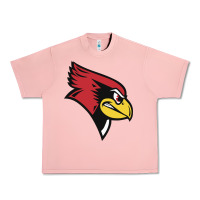 Salmon illinois state redbirds Urban Heavy Tee - linhVisuals
