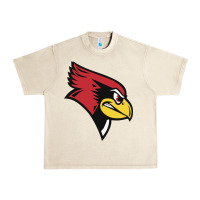 Sandshell illinois state redbirds Urban Heavy Tee - linhVisuals
