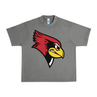 Tornado illinois state redbirds Urban Heavy Tee - linhVisuals