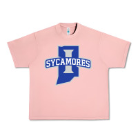 Salmon indiana state sycamores Urban Heavy Tee - linhVisuals