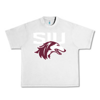 Lunar Rock southern illinois salukis Urban Heavy Tee - linhVisuals