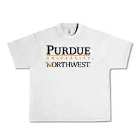 Lunar Rock purdue university northwest Urban Heavy Tee - linhVisuals