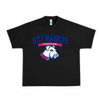 Black st. francis brooklyn terriers Urban Heavy Tee - linhVisuals