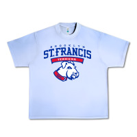 Grape Ice st. francis brooklyn terriers Urban Heavy Tee - linhVisuals